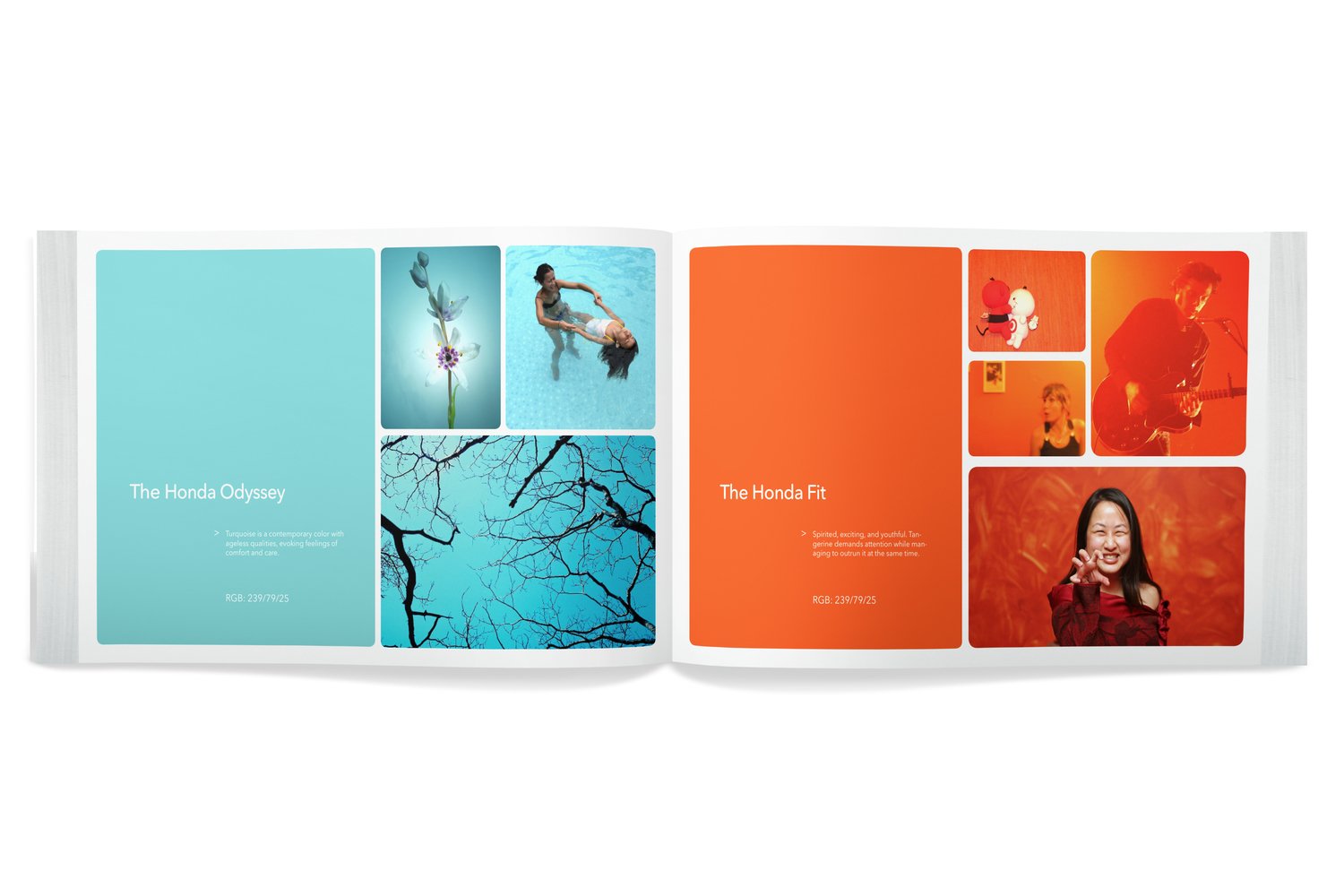  I documented the graphic system including typography, graphic elements, and color system across print, broadcast, outdoor, digital, and social media. 